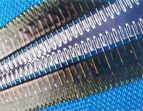 Filter Belt